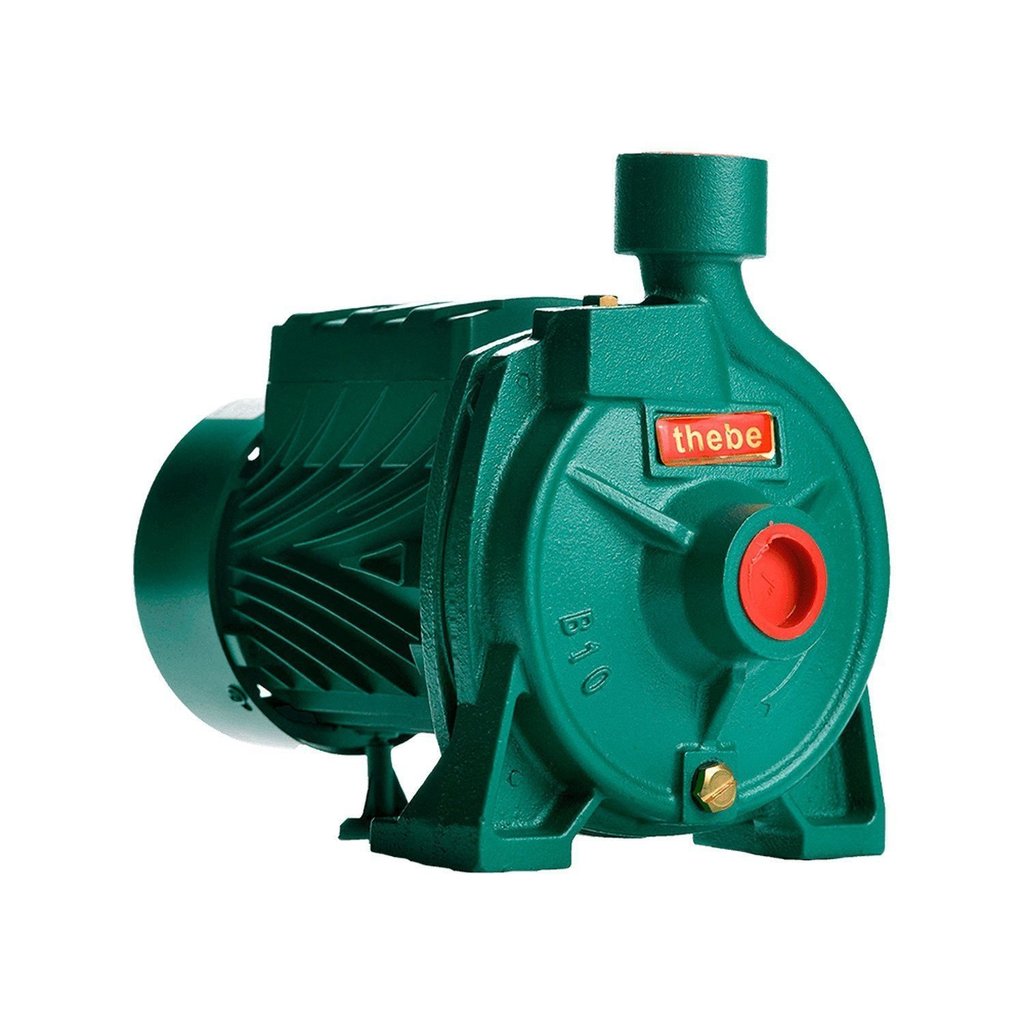 Bomba Monoestágio B-10 1/3 Cv Monofásico Motor Thebe IP44 127/220V Selo/Anel Viton Ebara