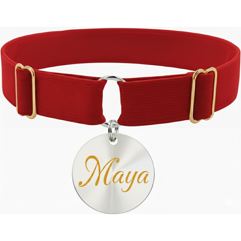 Coleira e Plaqueta Identificação Nome e Telefone Lisa Regulável Cachorro Médio e Grande Porte