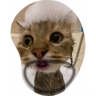 Mouse Pad Gatinhos Memes