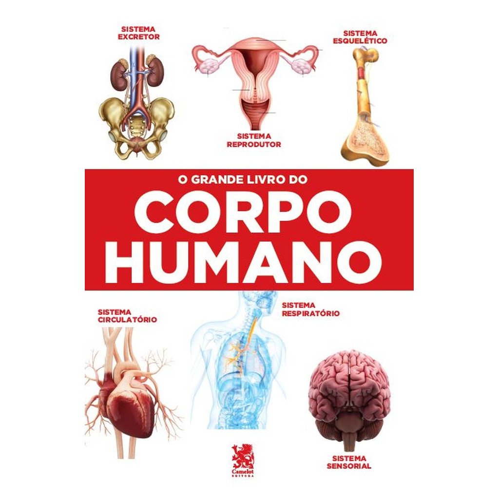 Livro O Grande Livro do Corpo Humano - Livros Sorocaba