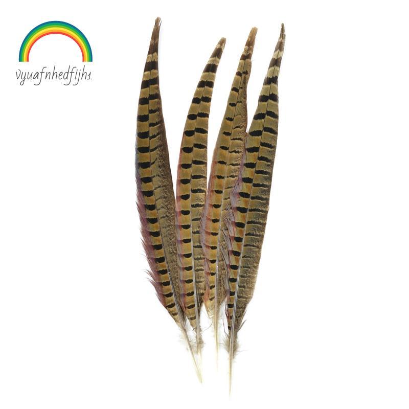 Penas De Faisão Touch of Nature Ringneck 4/Pcs , Natural