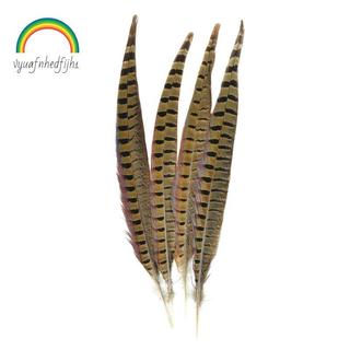 Penas De Faisão Touch of Nature Ringneck 4/Pcs , Natural