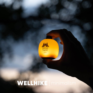 WELLHIKE Mini bola de arroz luz pitada LED longa vida útil da bateria ao ar livre barraca acampamento dossel atmosfera l