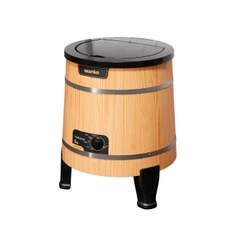 Lavadora Semiautomática 5kg Evolution Wanke