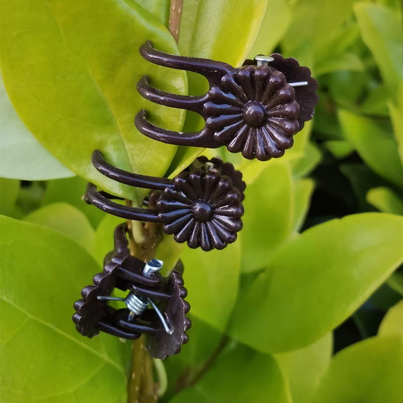 5 Pçs Jardim Orquídea Clipes Planta Suporte Fixação Flor Haste Escalada Videira Jardinagem Moldar