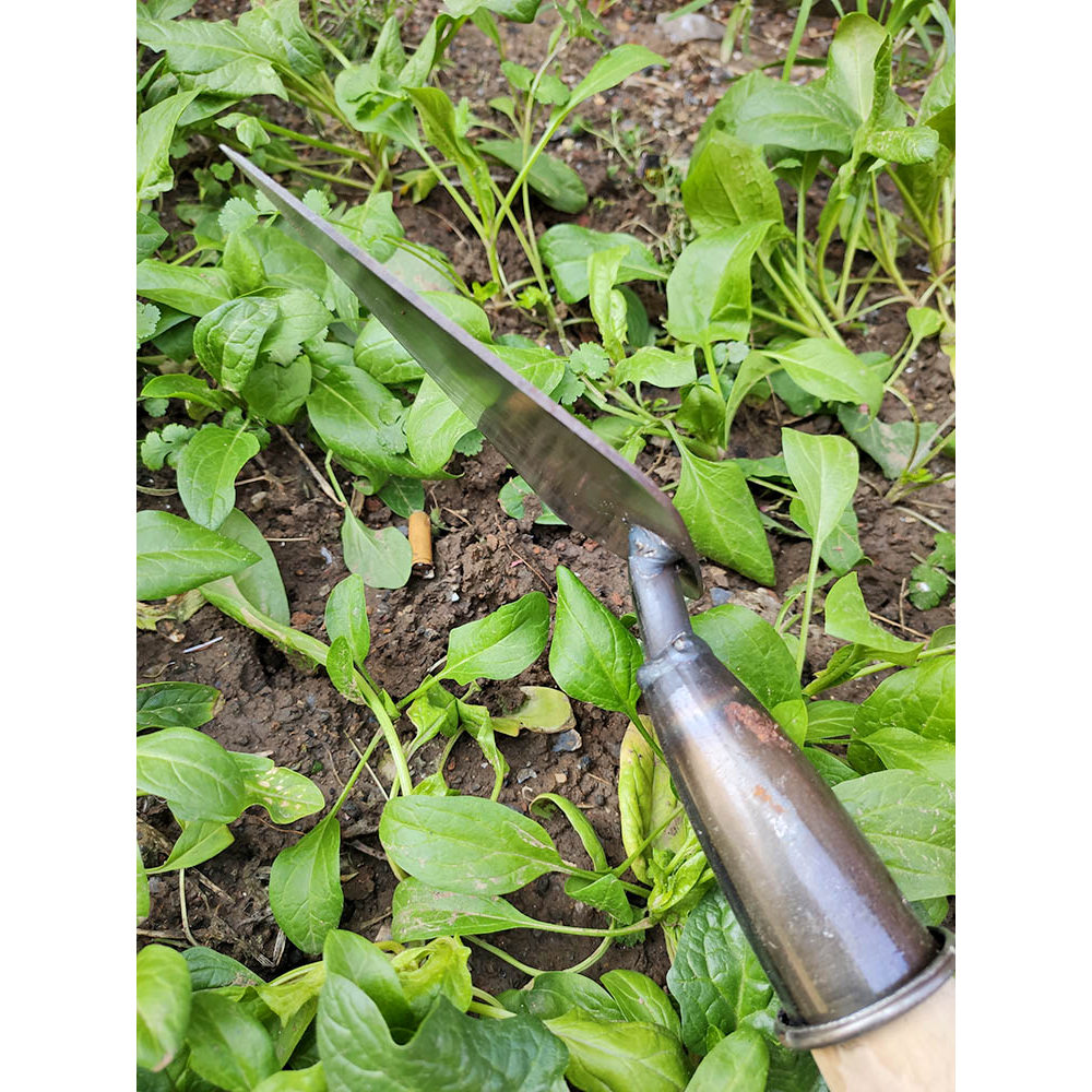 Pá de grama de aço inoxidável, pá de capina, cabeça Anti-ferrugem, pá de capina doméstica Rural G