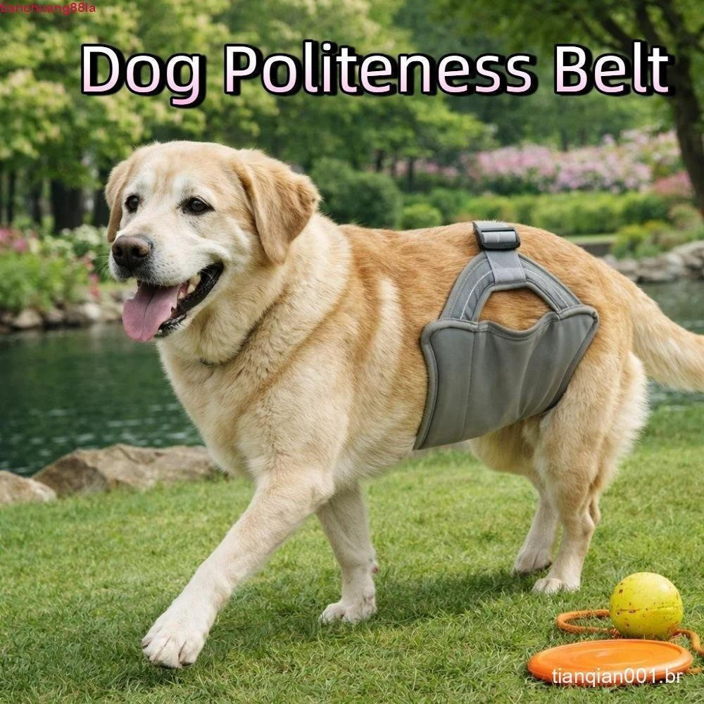 Fraldas Para Cães TIANCHUANG , Calças Fisiológicas Ajustáveis Respiráveis Masculinos , Cinto Lavável De Politeza