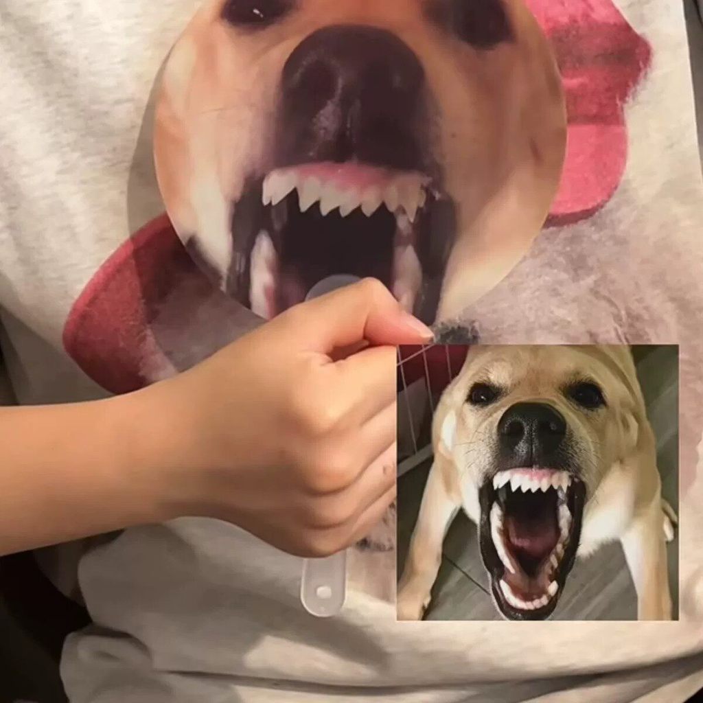 Cão grande latindo ventilador engraçado animação criativa Emoticon grade ventilador verão ao ar livre portátil brinquedo