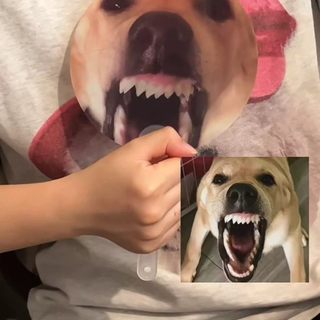 Cão grande latindo ventilador engraçado animação criativa Emoticon grade ventilador verão ao ar livre portátil brinquedo