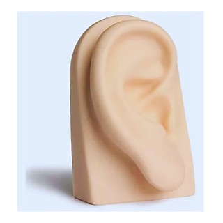 Orelha Direita de Silicone Realista Expositor Piercings Treino de Perfuração Nude