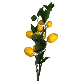 Galho Mini Limão Siciliano  Amarelo 100cm