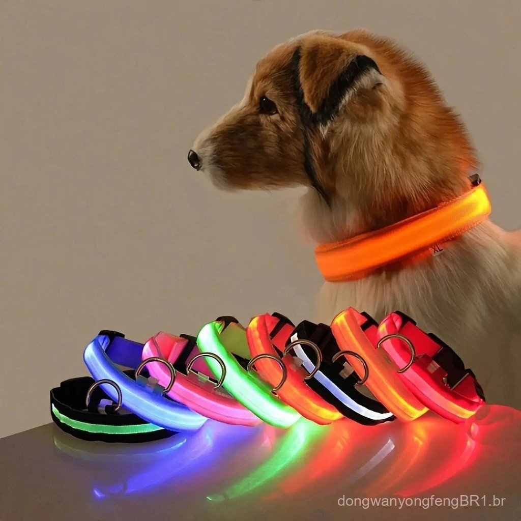 Coleira LED para Cães com Luz de Segurança Luminosa Piscante, Recarregável por USB