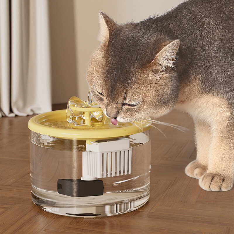 Dispensador de água para animais de estimação, fluxo de circulação automática, dispensador de água para animais de estim