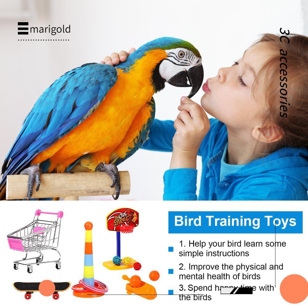 MARIGOLD 4 Peças Papagaio Brinquedos Skate Mini Carrinho De Compras Produtos Para Animais De Estimação Anéis