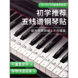 Adesivo para teclado de Piano, 88 teclas, transparente, 61 teclas, 54 teclas, crianças, adultos, teclado eletrônico, not