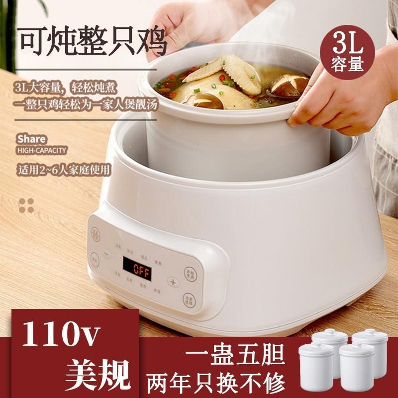 Pote de guisado elétrico de grande capacidade, 110v, pote de saúde, cronometragem de sopa, multifuncional, ensopado elét