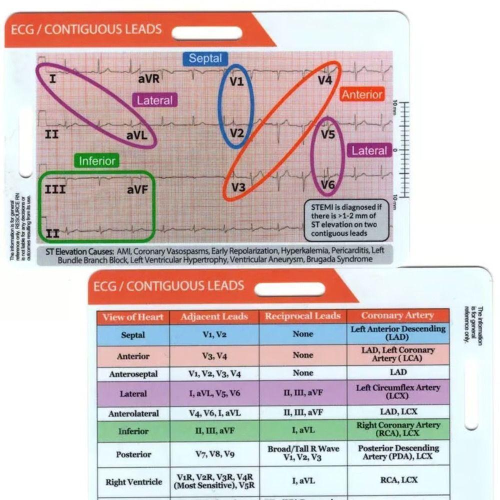 ECG Régua De 7 Passos , Pinças De EKG De Plástico Vertical Horizontal , De Interpretação Portátil