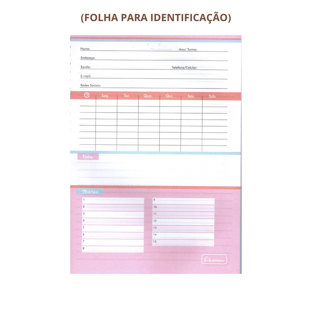 Kit 2 Cadernos COLEGIAL 15 Matérias 240 Folhas Cherry Lovers - CADERSIL — imagem 2 de 2