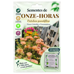 Semeie: 30 sementes de onze horas– Flores Brancas com Bordas Negras para horta caseira