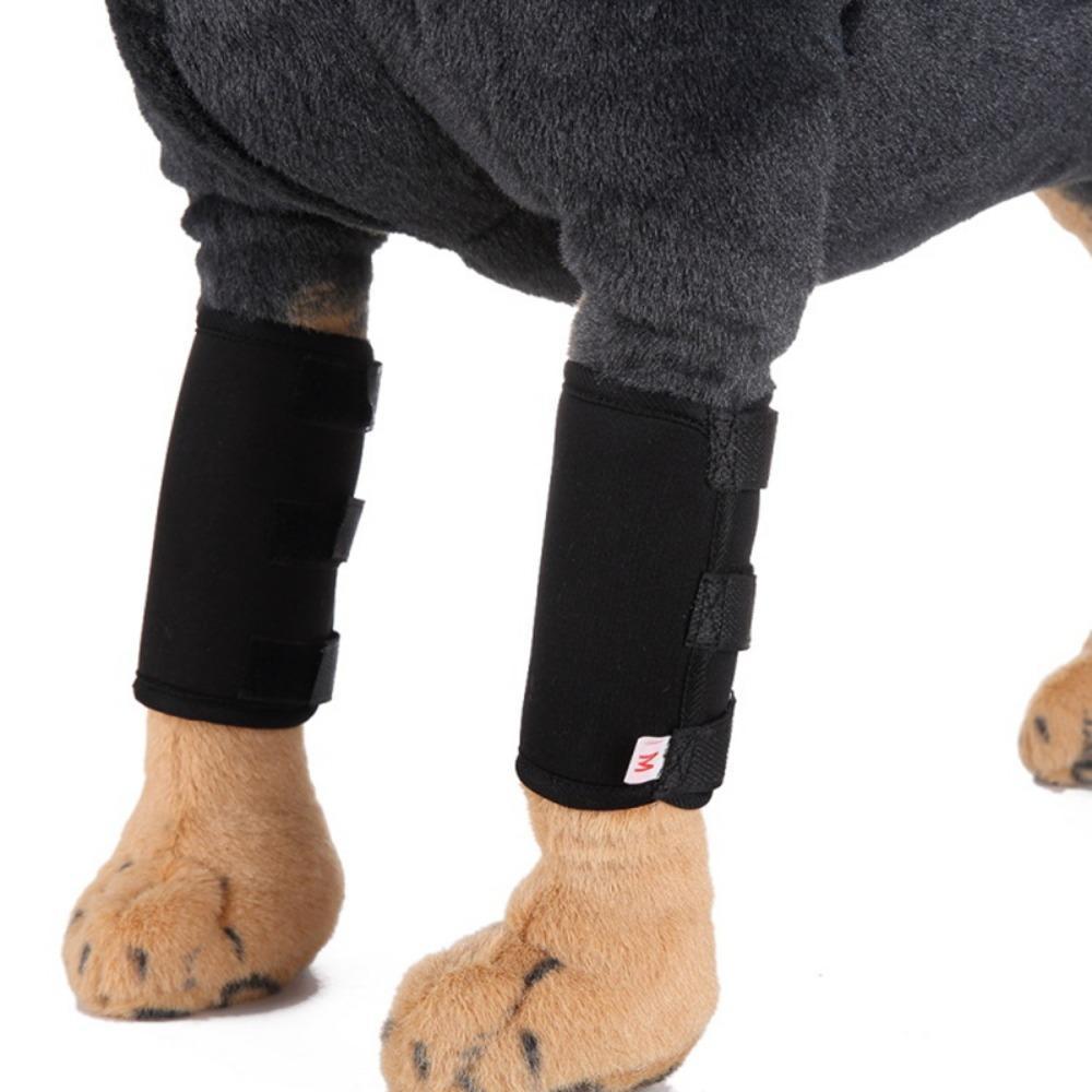 Cinta De Perna Dianteira Para Cachorro , À Prova De Choque , Respirável , Prática , 2 Peças Recuperação De Feridas , Mat