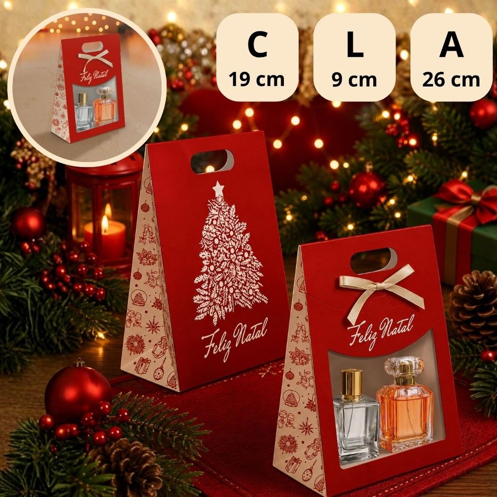 10 SACOLA MALETA C/ VISOR E FITA PRESENTE DE NATAL 19X9X26 6288 ( NATAL IDEIA 2026) · foto 2