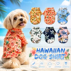 Roupas Para Cachorro Chihuahua
