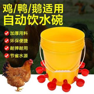 Tigela para beber frango, alimentador automático de água para aves, frango, pato, ganso, bebedouro automático, tigela pa