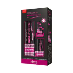 Kit Eico Efeito Salão Rosa Mosqueta 1,25L