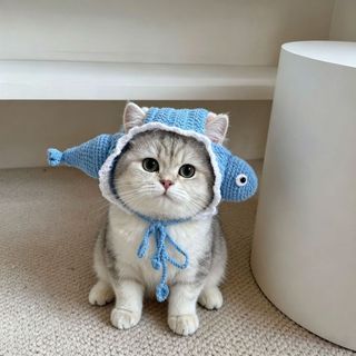 Bonito tubarão gato cão chapéu mão-tecido Pet chapelaria arrastar mostrar sapo