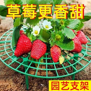 Família morango plantio suporte anti-corrosão anti-invertida simples quadro de suporte jardinagem flor bandeja Rack ferr