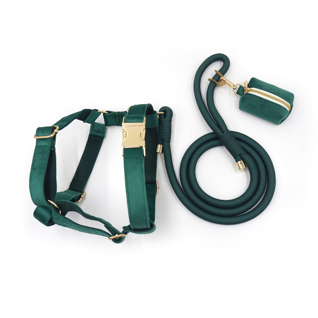 Bolsa de transporte para animais de estimação, coleira para cães, guia para animais de estimação, corda de tração c