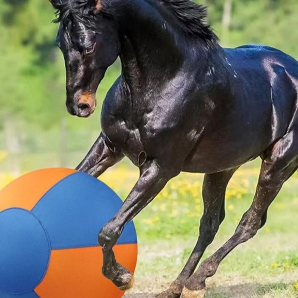 Bola Gigante Do Brinquedo Cão De TEVO , Inflável Resistente Ao Desgaste Abrigo , Enormes Animais Brinquedos Grande De Pa