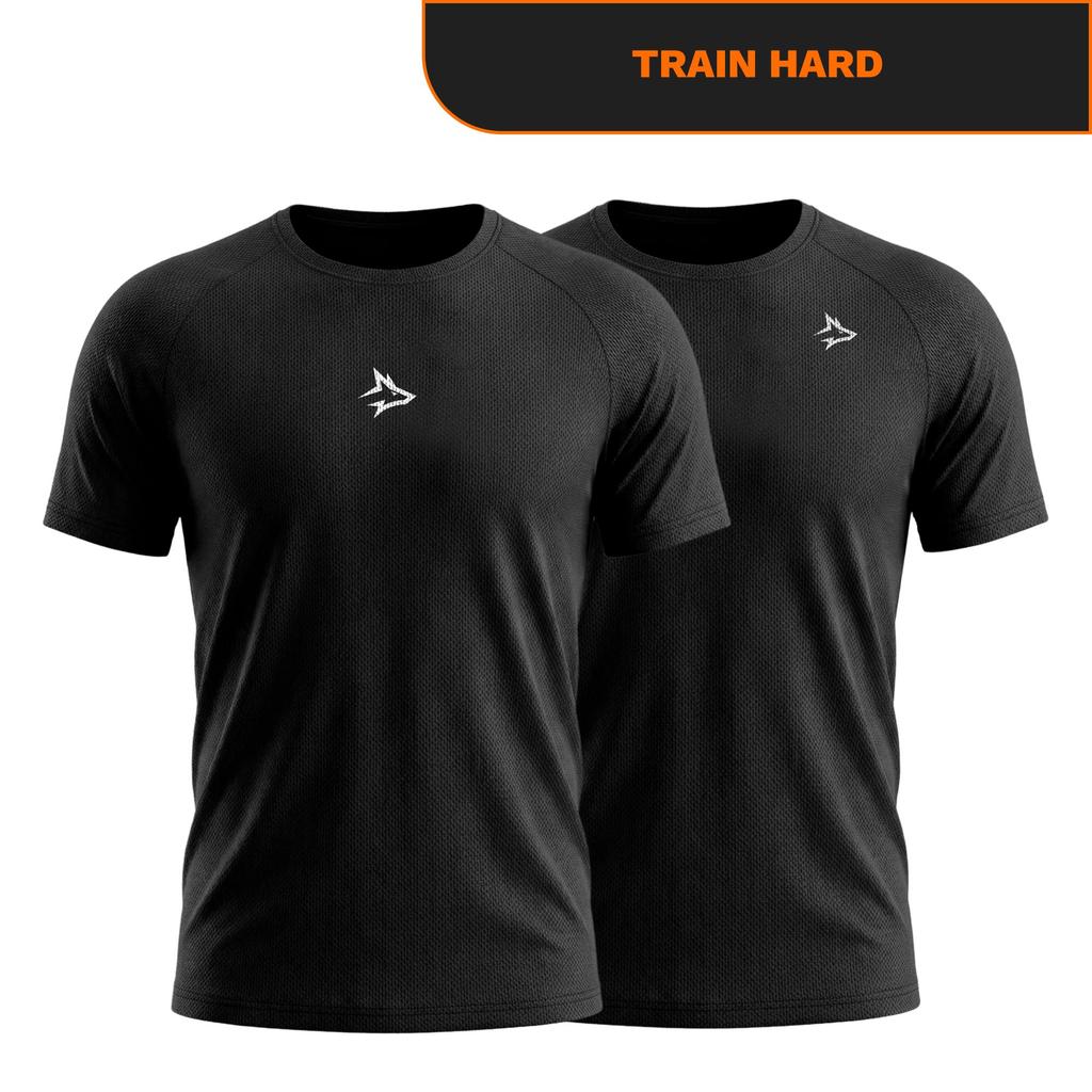 Kit 2 Camisetas Dry Treino Esporte Masculinas Alpha
