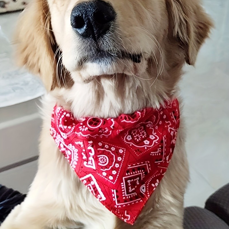 1 Peça , Bandanas De Cachorro Estampadas Elegantes Com Fivela-Mantenha Seu Animal De Estimação Limpo E Moderno , Fantasi