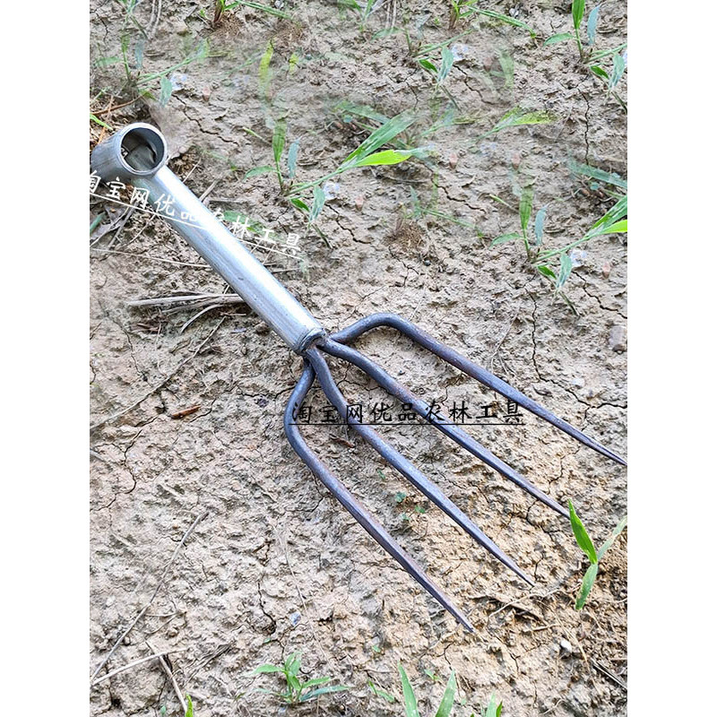 Garfo de escavação ancinho tamanho pequeno escavação garfo escavação amendoim batata doce garfo mão-Holding pequeno garf