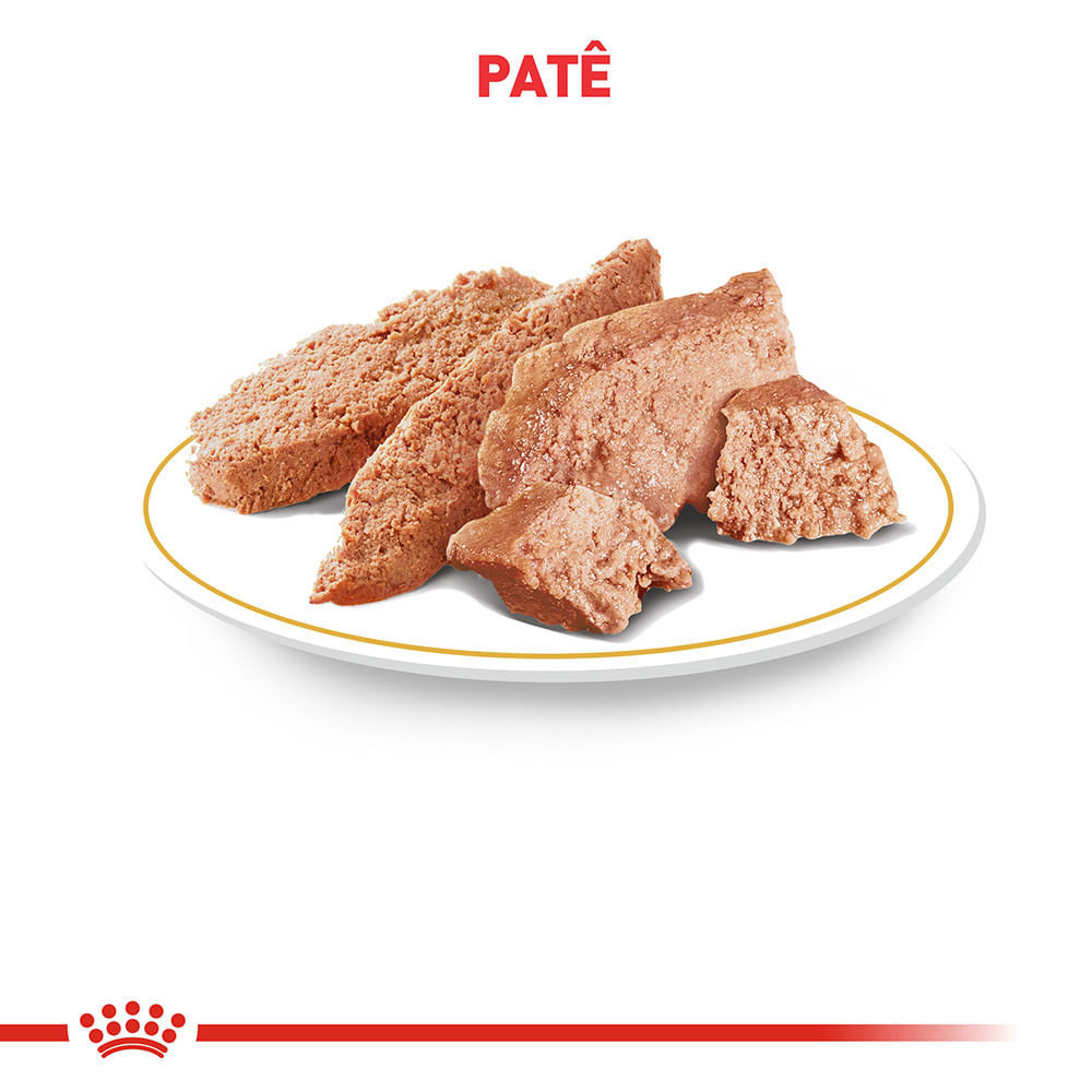 Ração Úmida Veterinary Hypoallergenic para Cães com Sensibilidades Alimentares Royal Canin 200g
