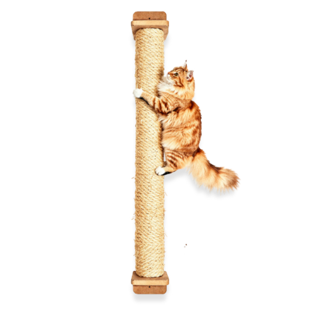 Arranhador de Parede Para Gatos Poste 180cm SISAL 8MM REFORÇADO PREMIUM Arranhador Gato Parede
