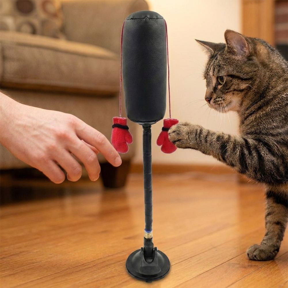 Brinquedo de saco de boxe para animais de estimação LACYES, Boxer de gato autônomo, com ventosa, brinquedo de jogo