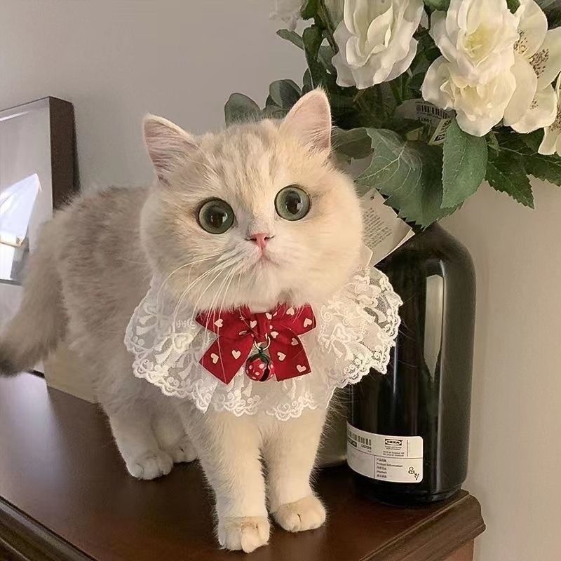 Novo estilo cão Saliva toalha pet cachecol gato babador acessórios para animais de estimação babador gravata borboleta s