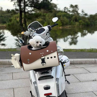 Novo estilo motocicleta veículo elétrico cauda Rack pet cauda bagagem viagem ao ar livre veículo elétrico pet saco de vi