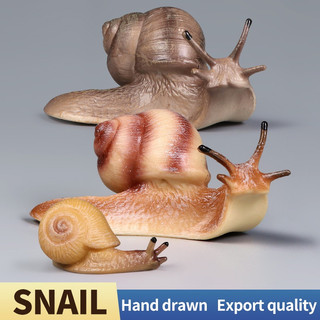 Modelo de Caracol Animal de Simulação Brinquedo de Inseto Figura Móvel Decoração Educacional Coleção