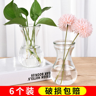 Criativo simples vaso de vidro transparente hidropônico verde endro planta vaso vaso jacinto arranjo sala estar dec