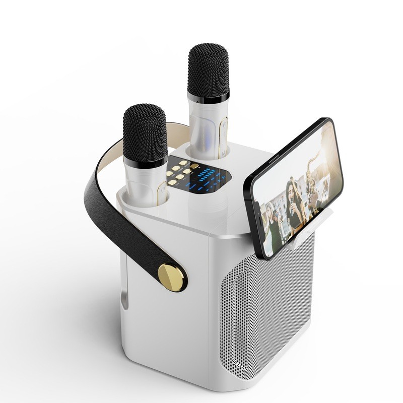 Koleer S882 alto-falante Bluetooth ao ar livre k-song alto-falante de alto Volume família microfone duplo com microfone 