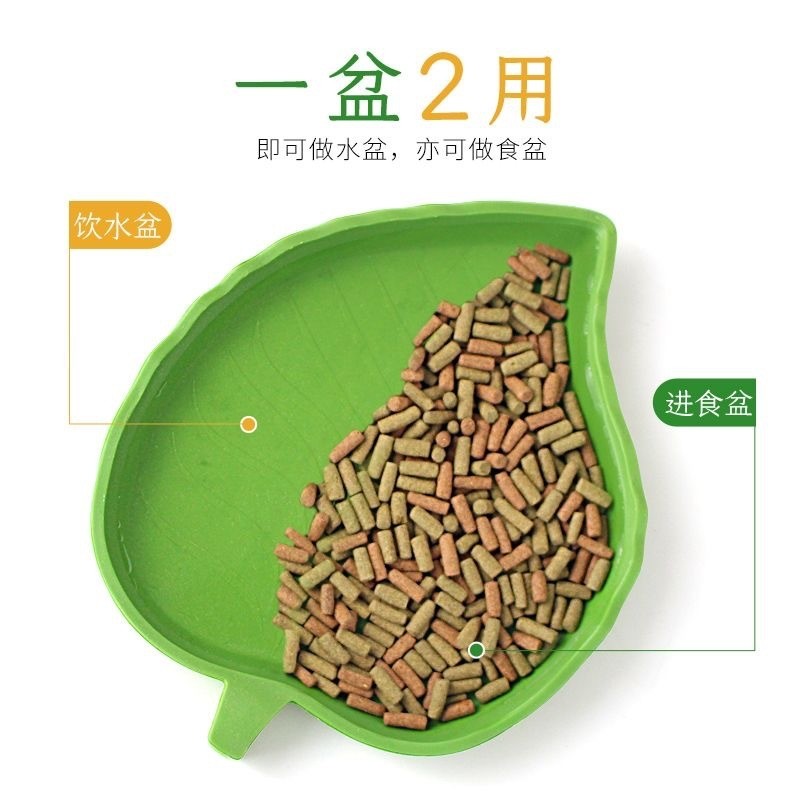 Bacia de água para répteis, bacia de comida, tartaruga, lagarto, Gecko, sapo com chifres, banheira, alimentação de aranh