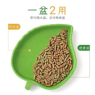 Bacia de água para répteis, bacia de comida, tartaruga, lagarto, Gecko, sapo com chifres, banheira, alimentação de aranh