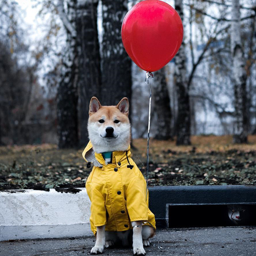 Ins venda quente Street Wear à prova de vento à prova de chuva britânico Retro engrossado cão capa de chuva jaqueta para