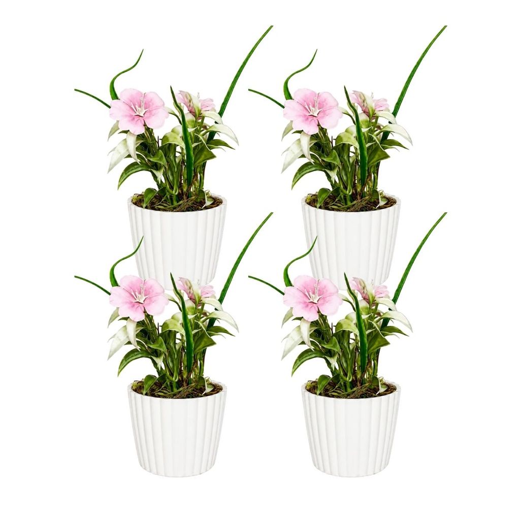 Kit 4 Arranjo Flor do Campo Artificial Vaso Branco Decoração