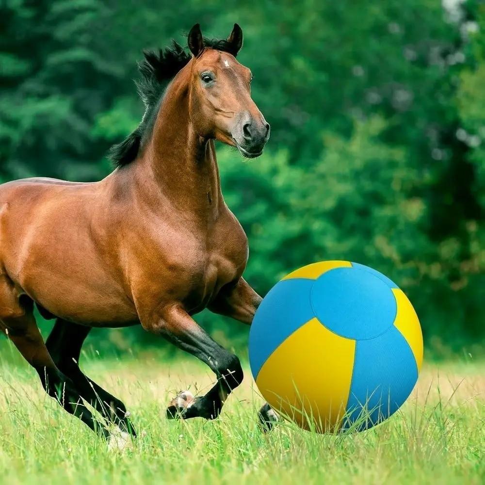 Bola Gigante Do Brinquedo Cão , Grande Resistente Ao Desgaste Abrigo , Enormes Animais Brinquedos Anti-Risco De Pastagem