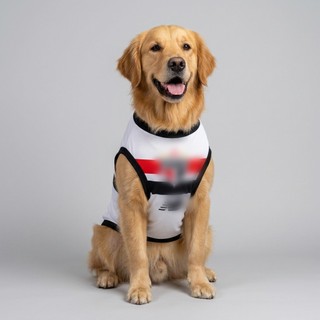 Roupa Pet Tricolor Paulista para Cachorro Pequeno e Grande Porte Camiseta Premium