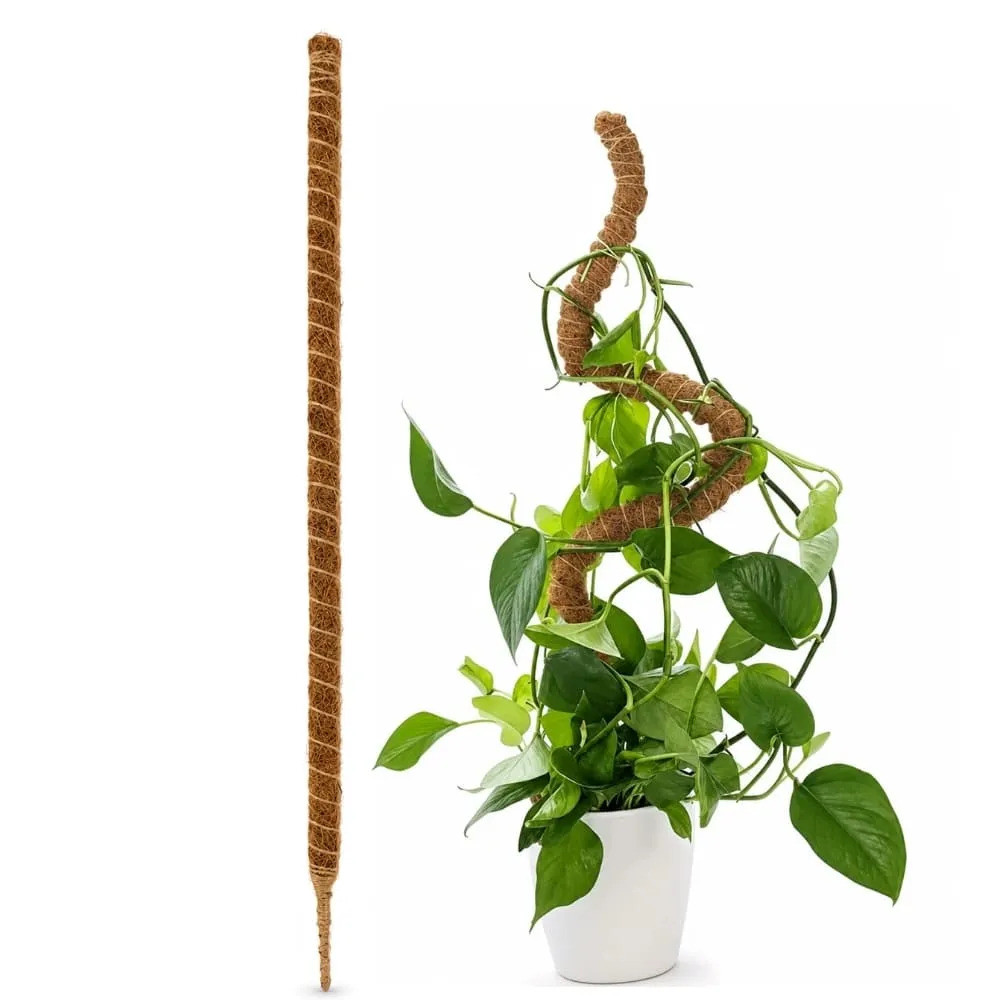 Tutor de Fibra de Coco Flexível Para Plantas 100cm